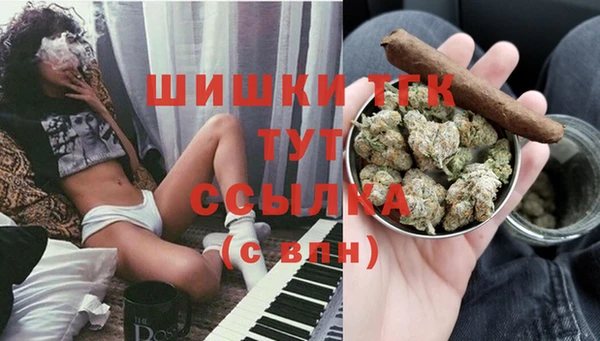 молекула духа Алексеевка