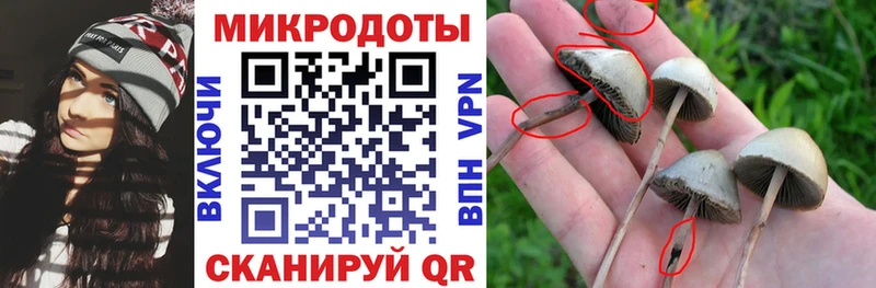 купить наркотики цена  Арск  Псилоцибиновые грибы ЛСД 